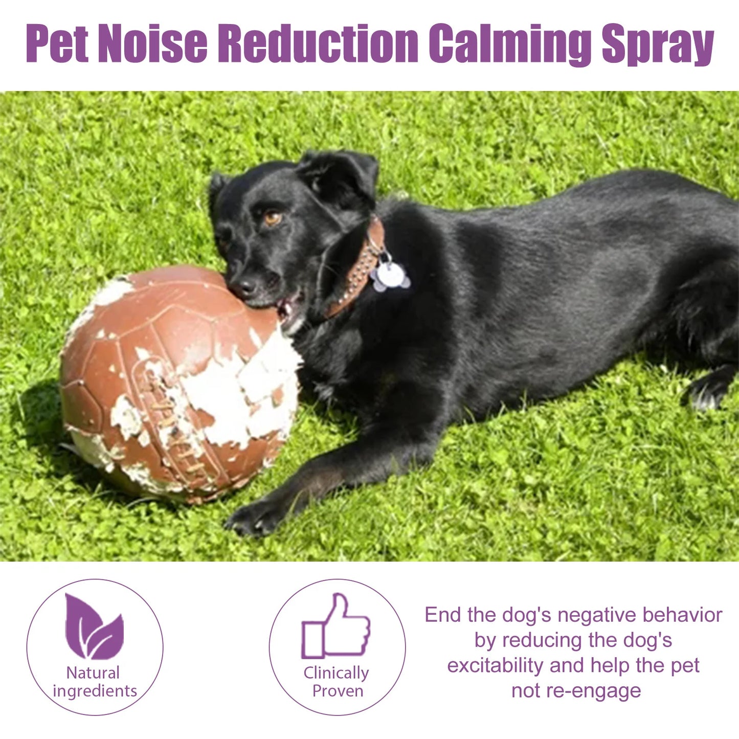 Pet Calming Spray