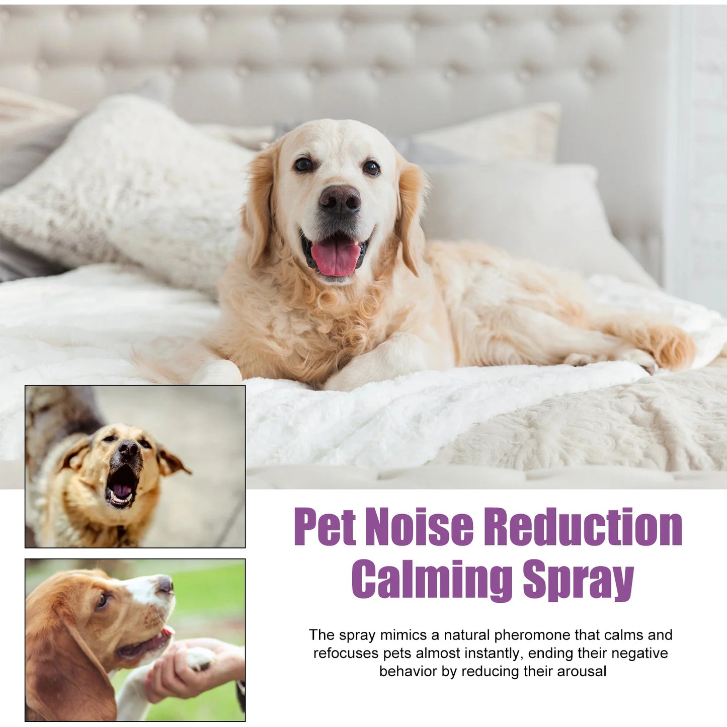 Pet Calming Spray