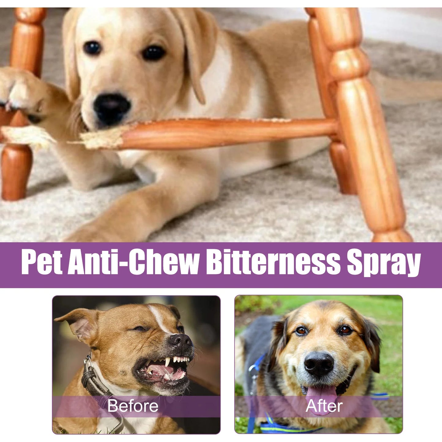 Pet Calming Spray