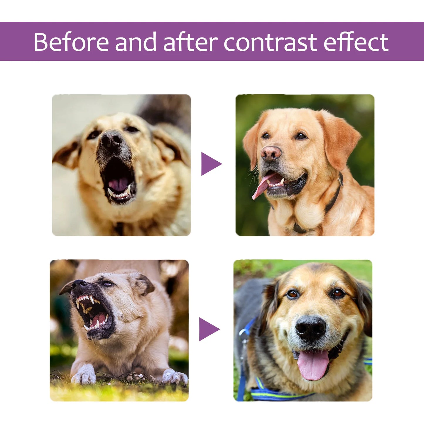 Pet Calming Spray