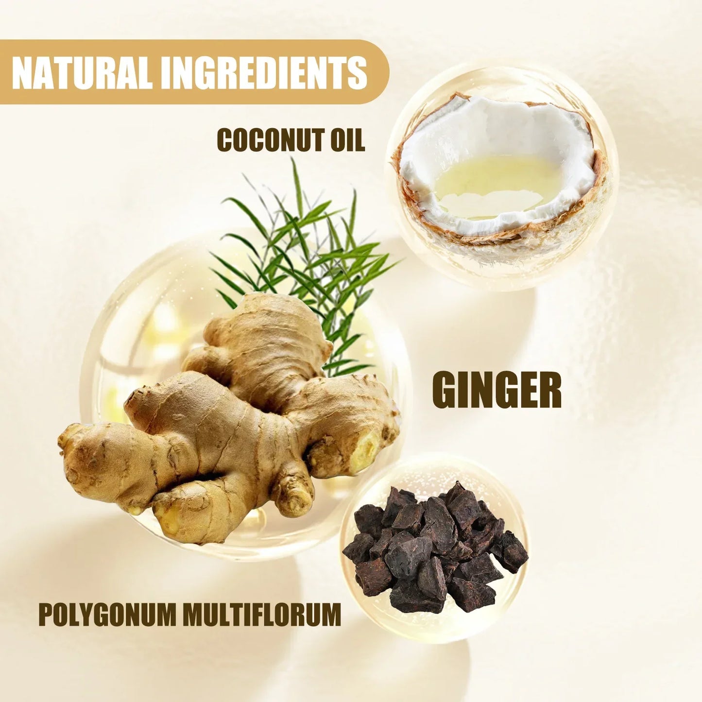 Ginger Hair Shampoo